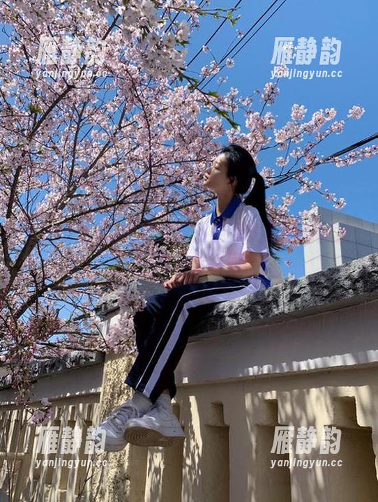 吃瓜天堂：免费收集的阴暗角落与愚蠢瞬间