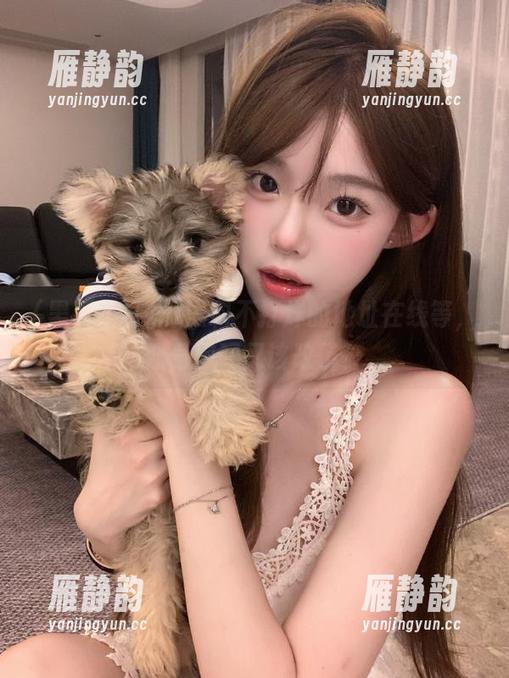 黑料不打烊的地址在线等，账号密码又该改了？
